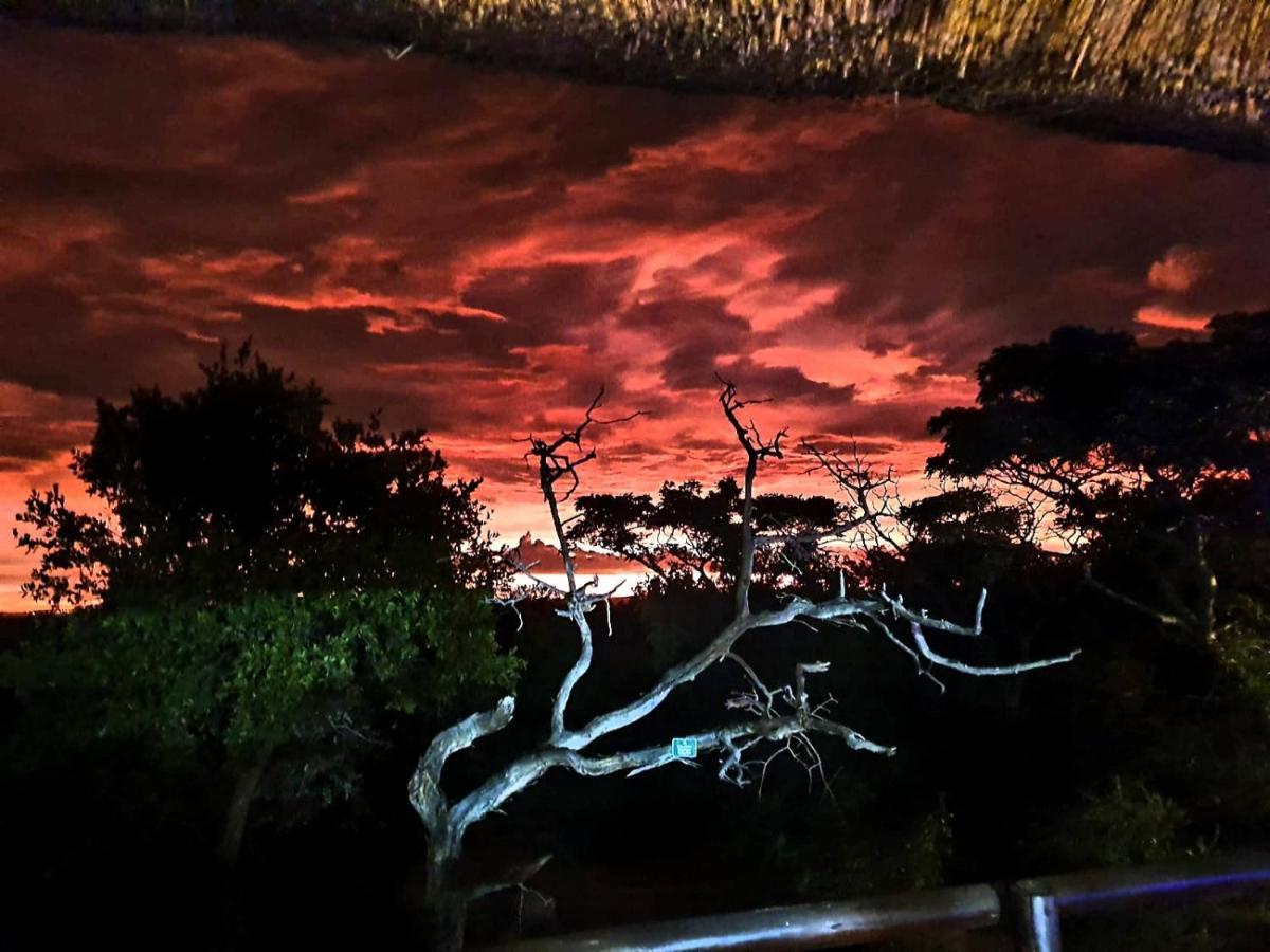 636 Itaga Safari Lodge, Mabalingwe Nature Reserve Mabula Game Reserve Екстериор снимка
